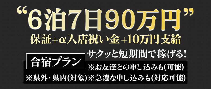 6泊7日90万円保証