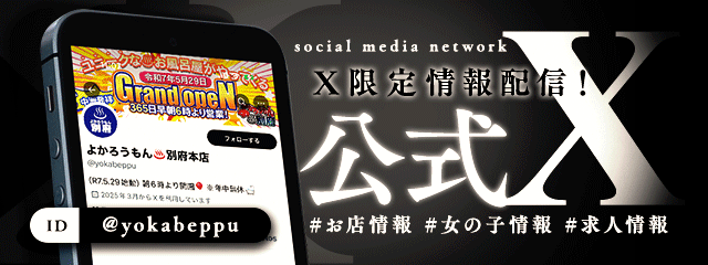公式X